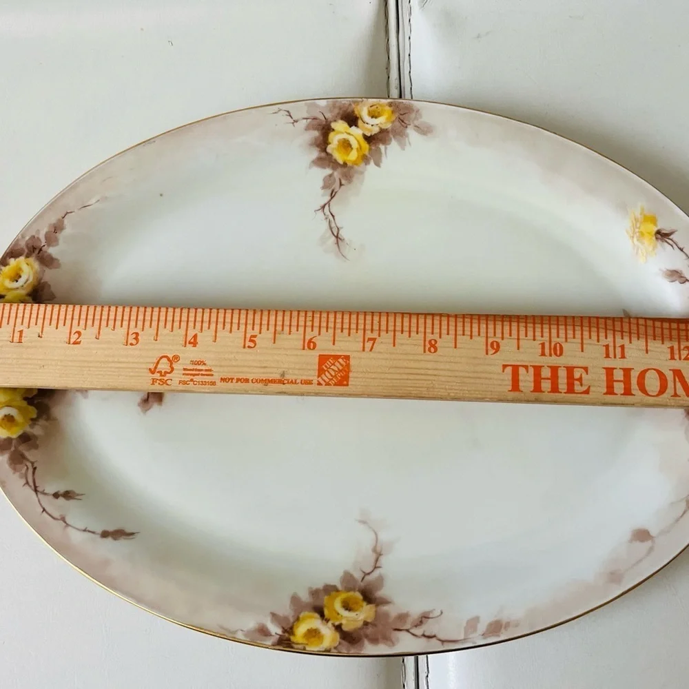 Antique Tirschenreuth Germany 1962 Hand Painted Tray